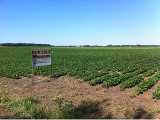 86.08 Acres with 82.45 acres tillable.  Property is postage stamp flat with good soil quality and drainage.  Property has paved road access along two sides (300 W and 500 S).  The renter has been a farmer who took great care of the soil, fertilizing responsibly, crop rotation, ditch work, mowing roadsides, etc.  This land also will have great site development potential when market conditions justify.  Well & septic are in place and fully functioning.  There are 2-1000 gallon propane tanks.

 - Productive Tillable Land